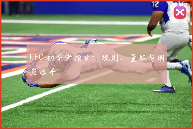 UFC 初学者指南:规则、量级与明星选手